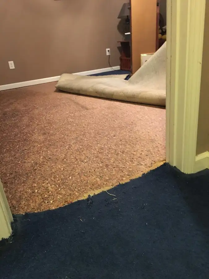 Carpet pad removal revealing water damage during Drying & Dehumidification in Chelsea